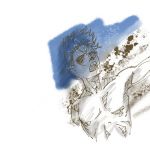 file028
