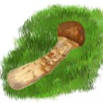 file069