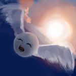 file072
